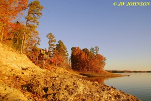 17 Cabin 18 Lakeshore