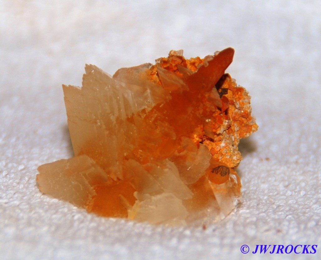 24A Small Dogtooth Crystal