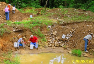 11 Diggers In the Pit