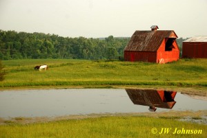 Barns and Horses north of Eddyville