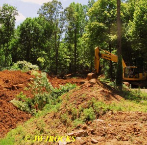 60 Trackhoe Takes Out Smaller Tree to Pit