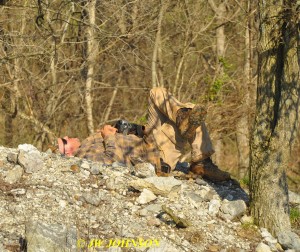 21 Chuck Resting On Columbia Mine Tailings