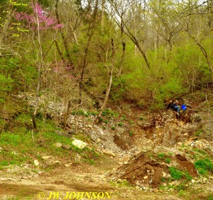 47 Old Mine Tailings