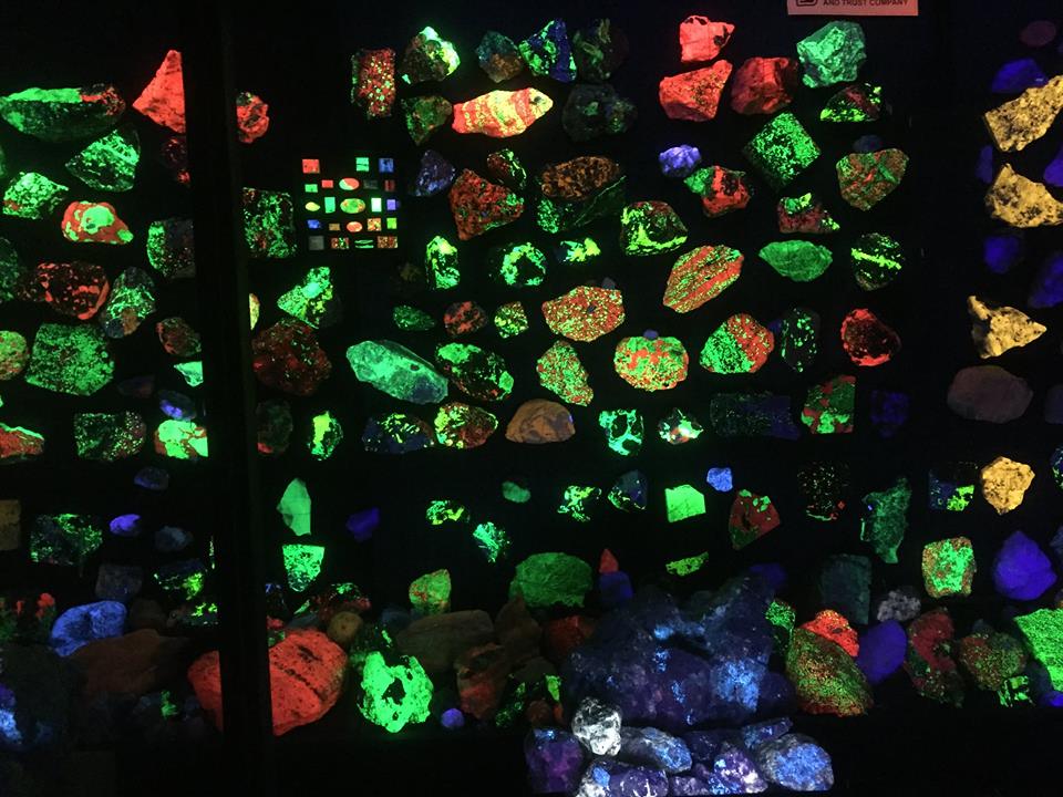 Blacklight room at the Clement Mineral Museum