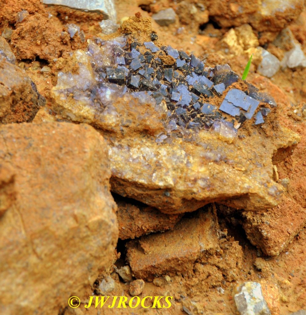 10 Fluorite Crystals On Chunk