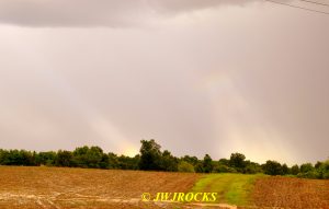 29 Rainbows After Brief Shower